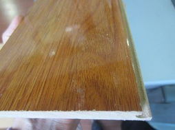 森泰木地板 匠心品质点亮家居生活，西江明珠闪耀肇庆建材市场