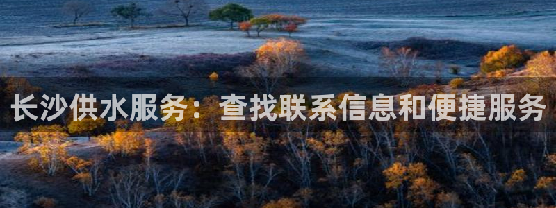 球友会官网入口在哪里