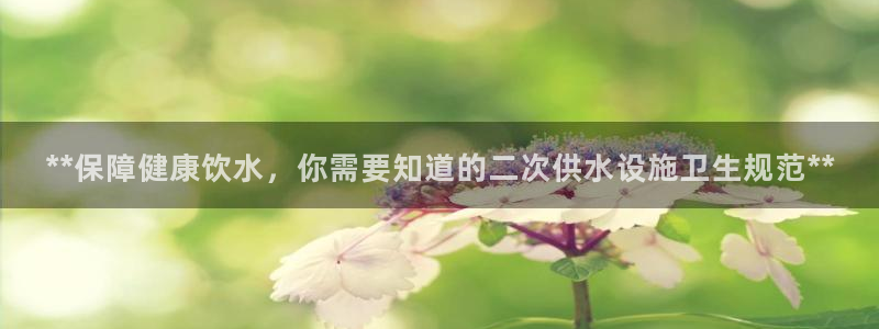 球友会联赛