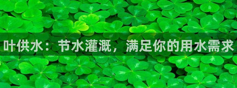 球友会官方网站