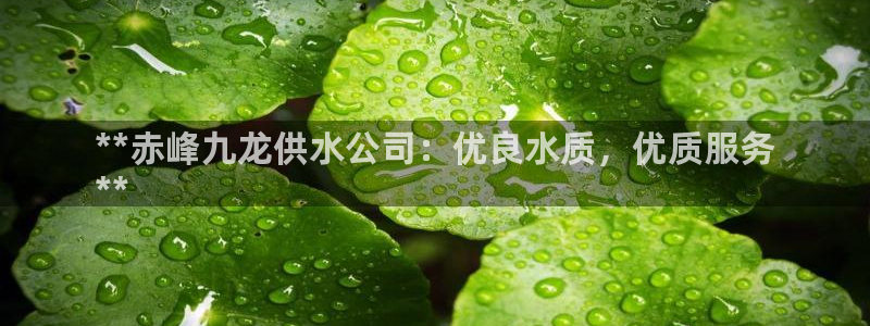 球友会app干啥的软件