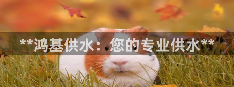 球友会台球俱乐部官网