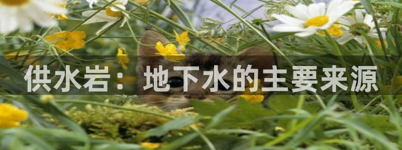球友会娱乐