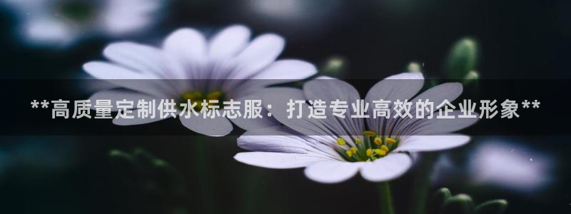 球友会官网入口在哪里