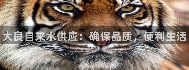 球友会官网入口