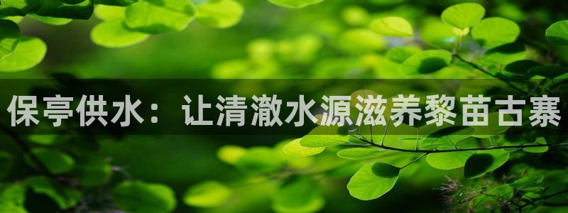 关键词