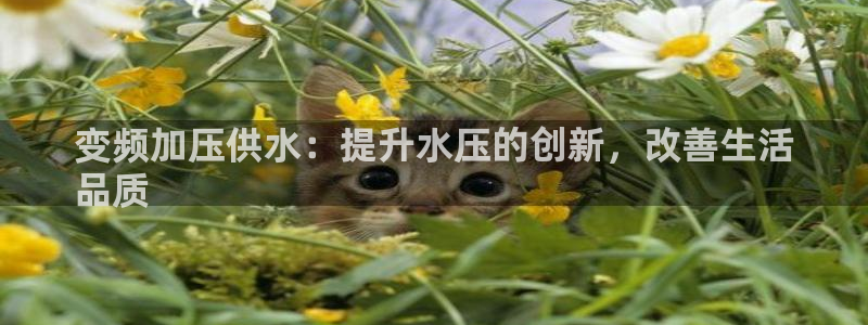 QY球友会官网