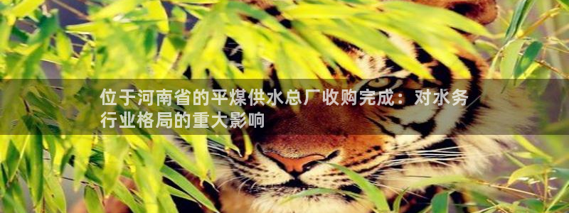 球友会地址