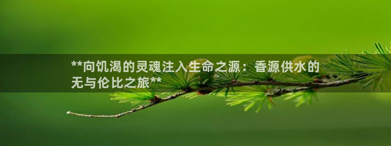 球友会台球俱乐部官网