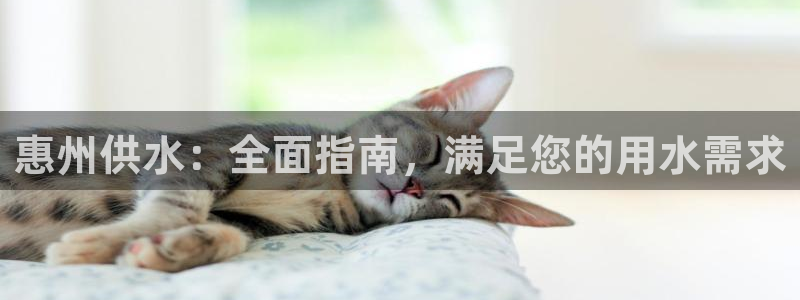 球友会app介绍