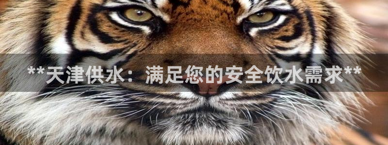 球友会logo