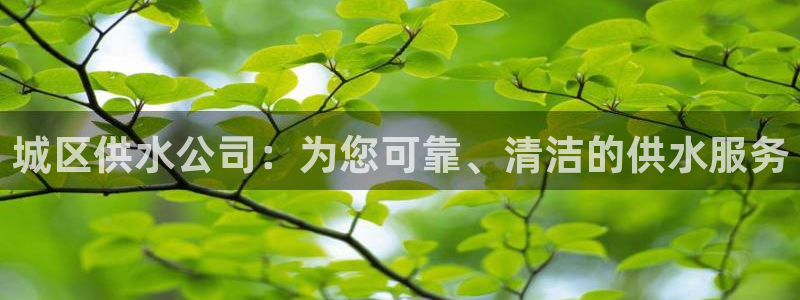 qy球友会体育官方平台