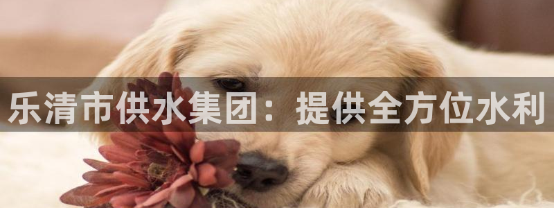 球友会app官方网站下载