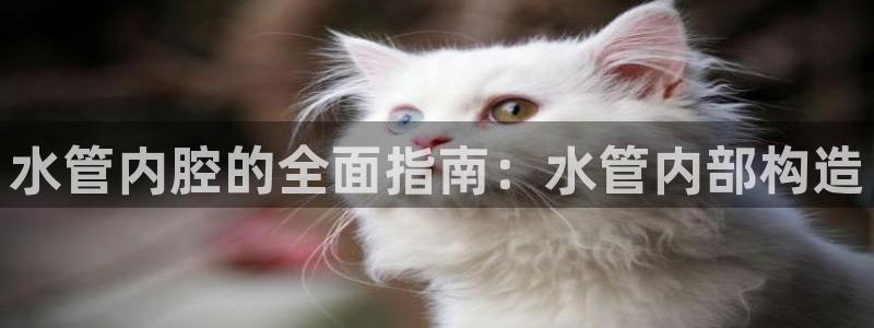 球友会体育app下载安卓版