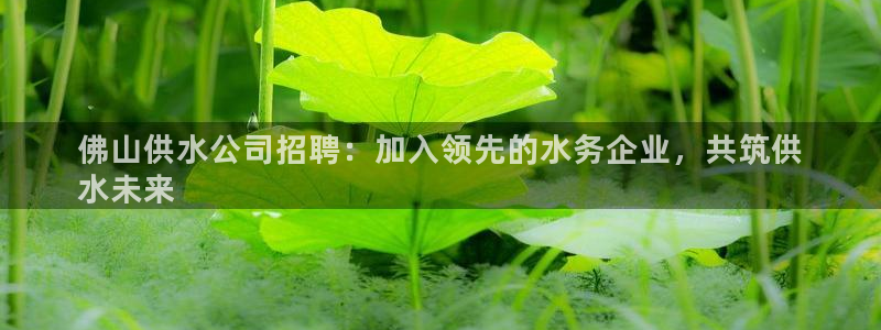 球友会体育app官方版下载安装苹果