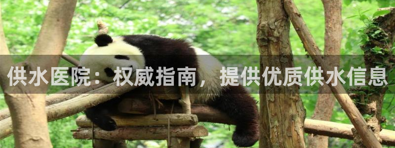 球友会的会字是哪个会