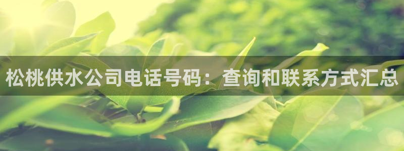 球友会台球俱乐部官网