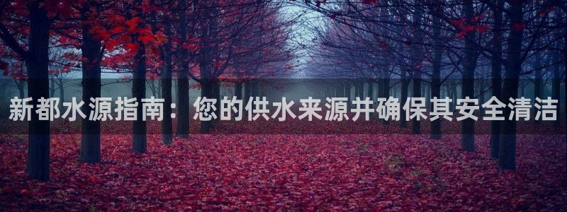 球友会是什么