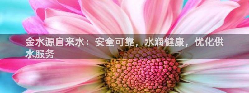 球友会比赛结果查询