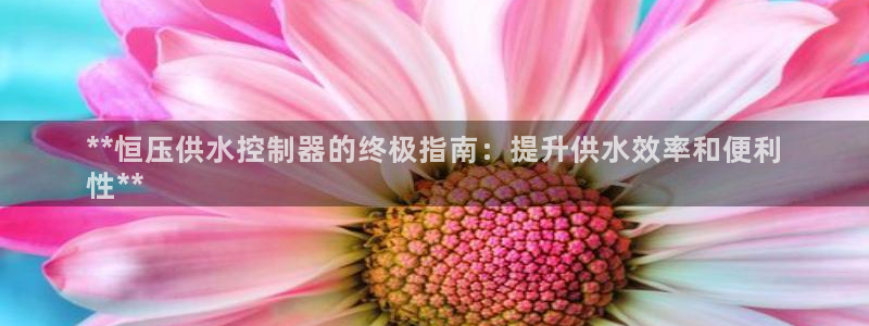 qy球友会体育怎么样