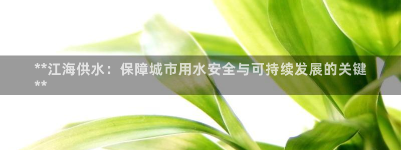 球友会体育